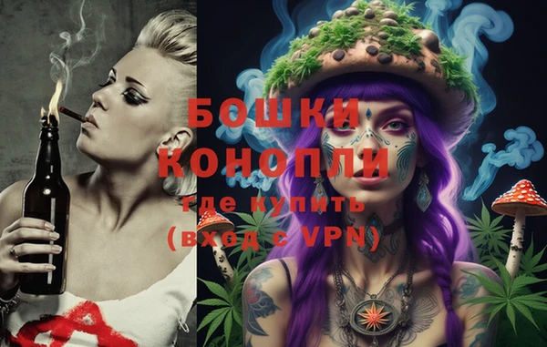шишки Богородск