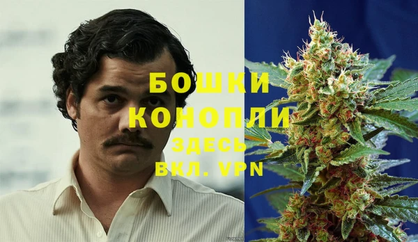 МДПВ Богданович