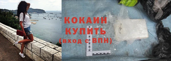 шишки Богородск