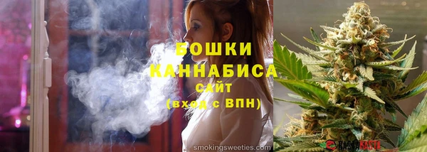 шишки Богородск