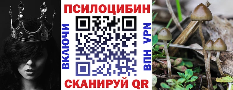 купить  сайты  hydra ТОР  Псилоцибиновые грибы ЛСД  Кольчугино 